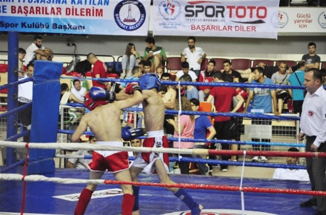 Memoli Zengin’den Türkiye Kick Boks Şampiyonasında 13 Madalya Kazanan Vanlı Sporculara Başarılar Mesajı